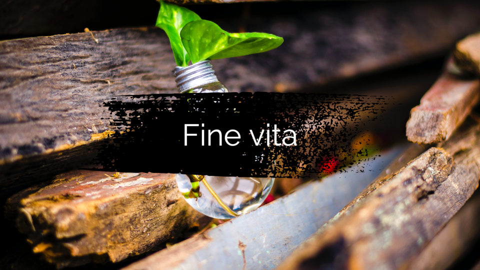 Dottssa Stefania Perrone - Accompagnamento al fine vita